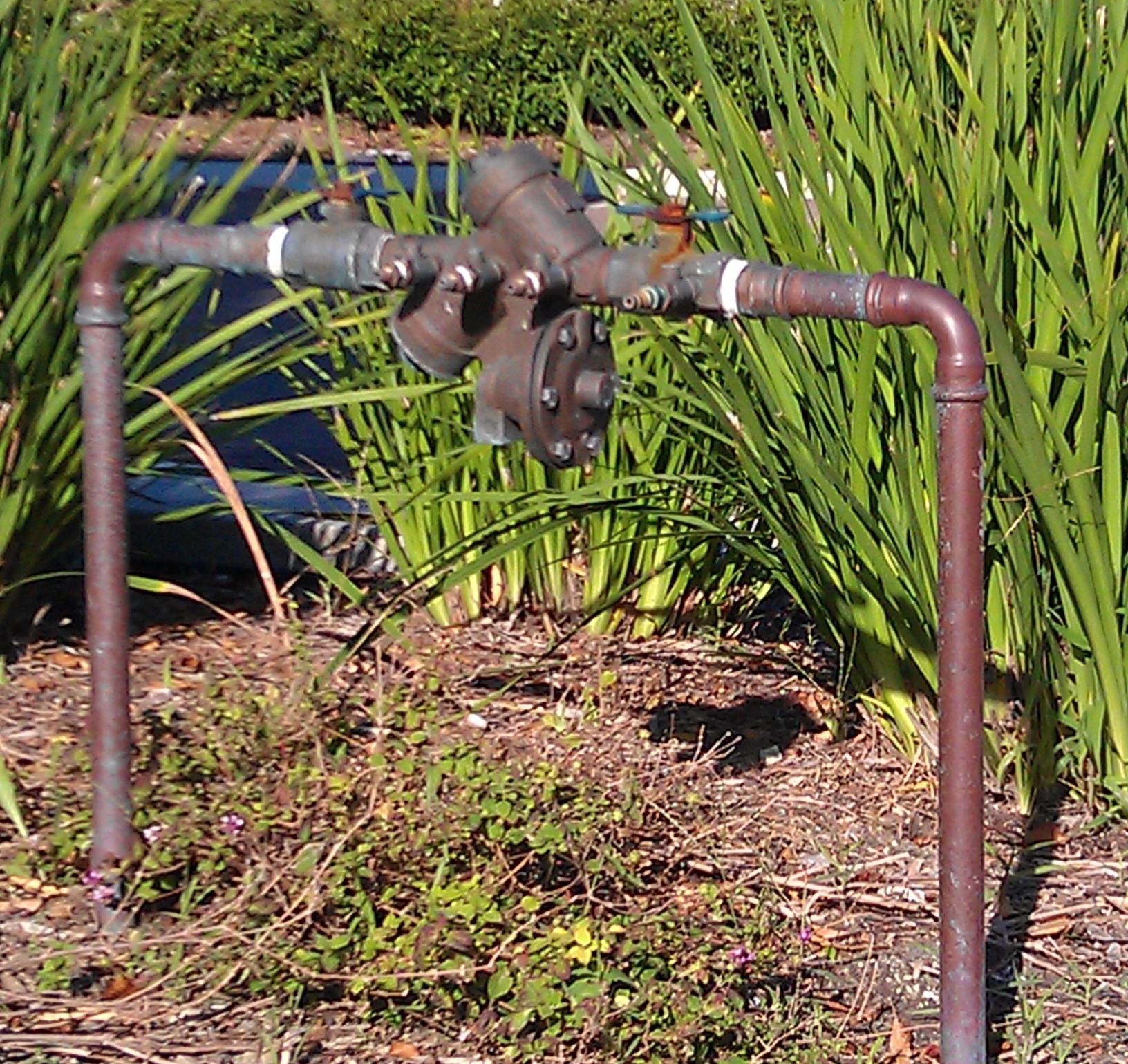 image of three-quarter inch backflow preventer in foliage